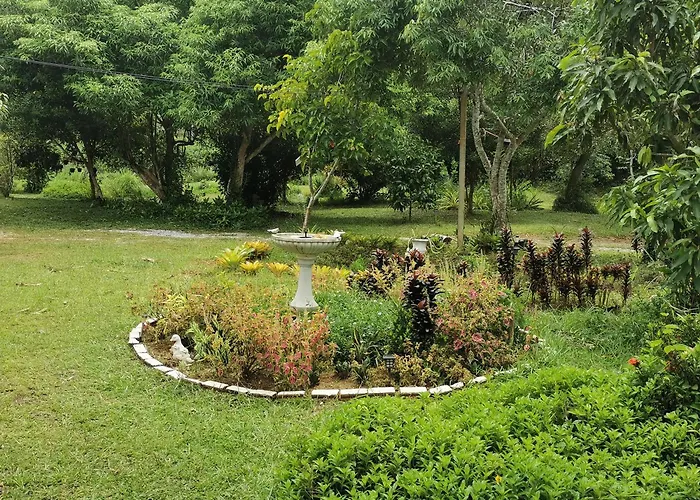 Betong House In The Garden