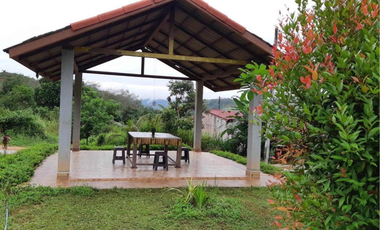 House In The Garden *